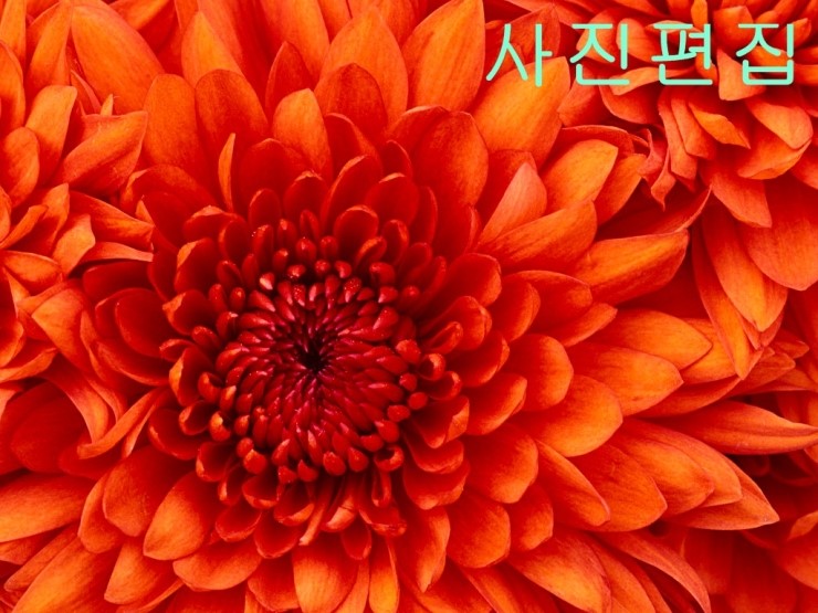 수컴퓨터 이미지