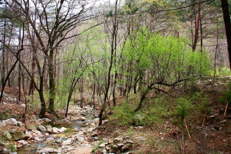 산음캠핑 이미지