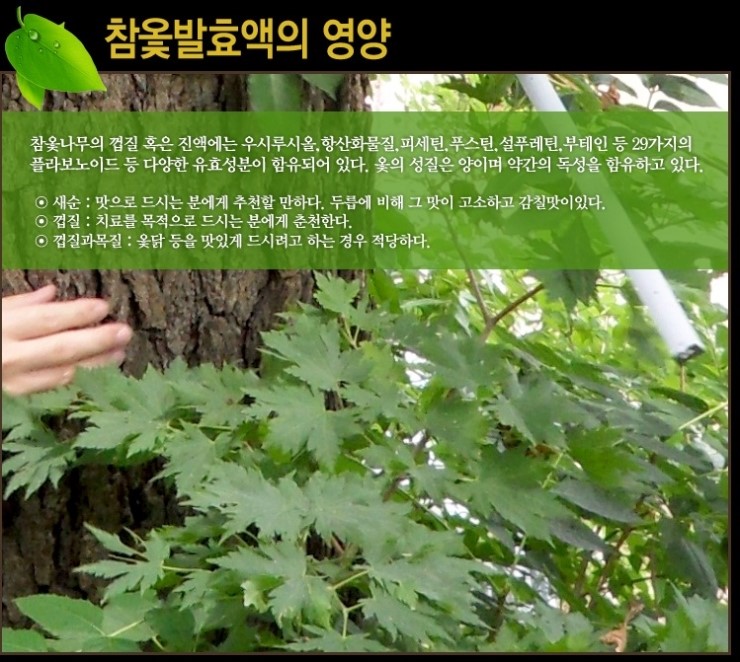 아산약선마을 영농조합법인 이미지