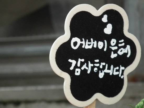 예쁜꽃방 이미지