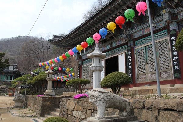 일육회 이미지