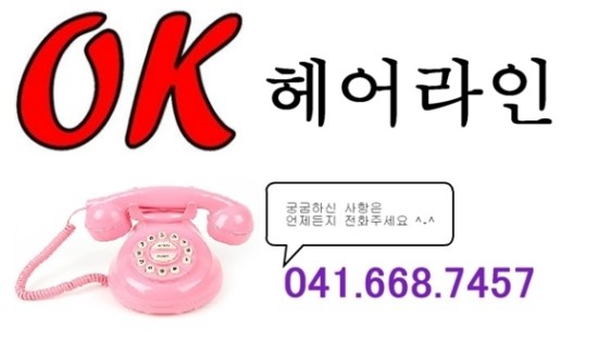 브로컬리헤어 이미지