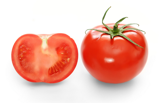 호텔토마토 이미지
