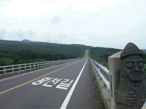 짤방커트 이미지