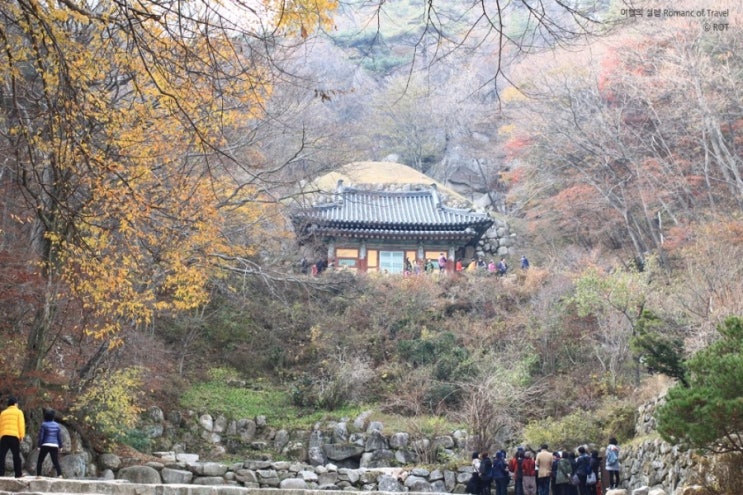 경주시티투어천마관광 이미지