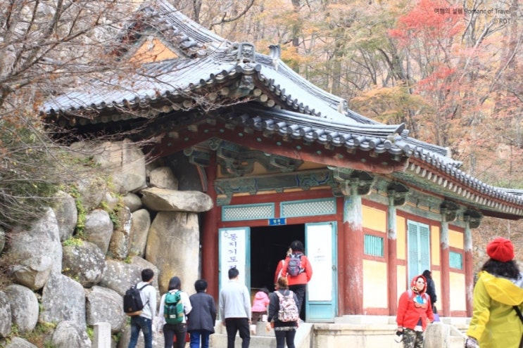경주시티투어천마관광 이미지