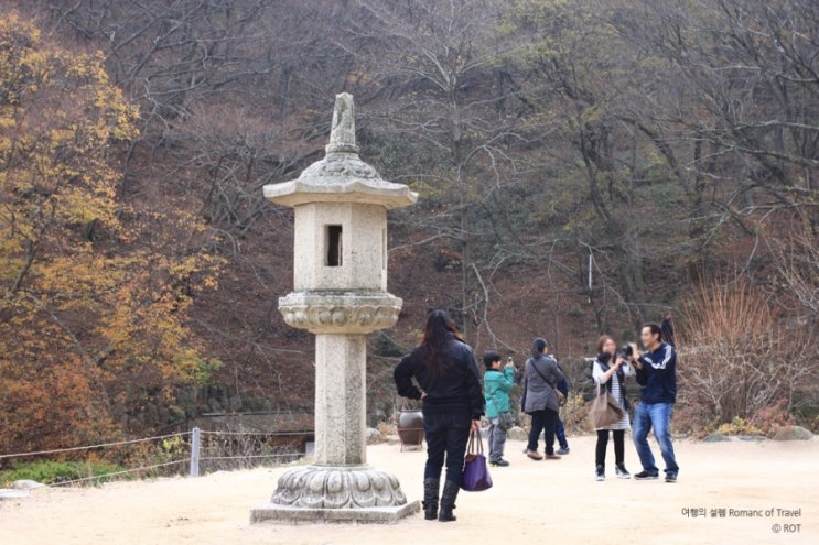 경주시티투어천마관광 이미지