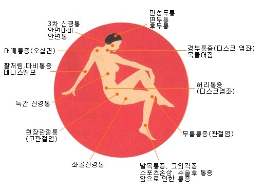 서정성세의원 이미지