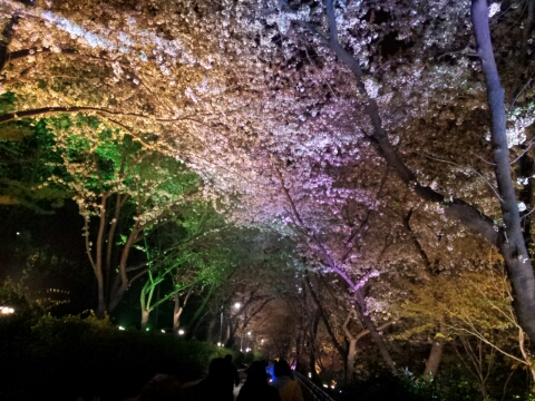 미화양꼬치 이미지
