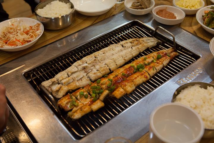 대교장어 이미지