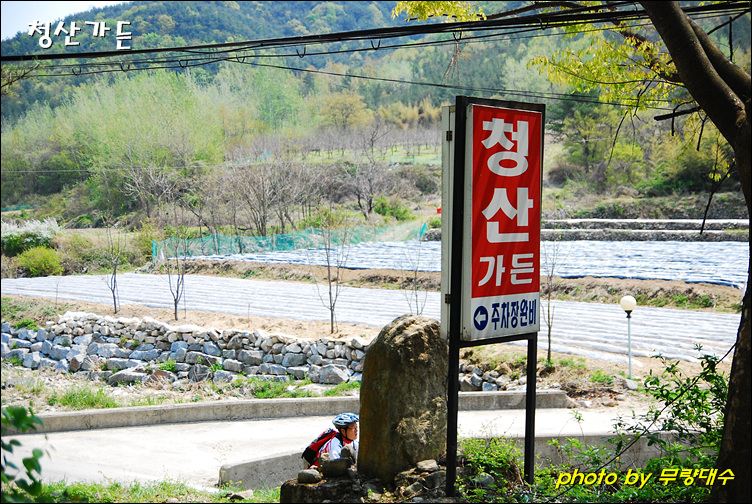 청산오리 이미지