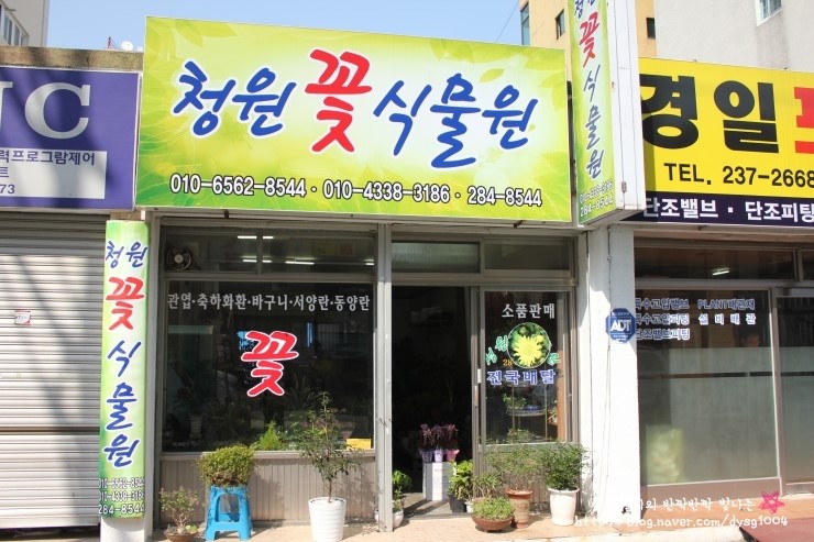 청원꽃식물원 이미지