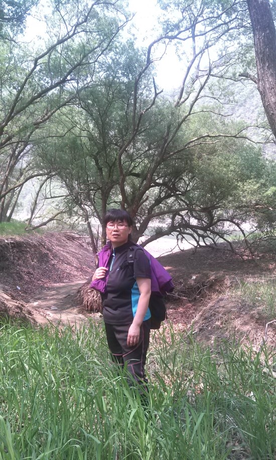 강여사 이미지