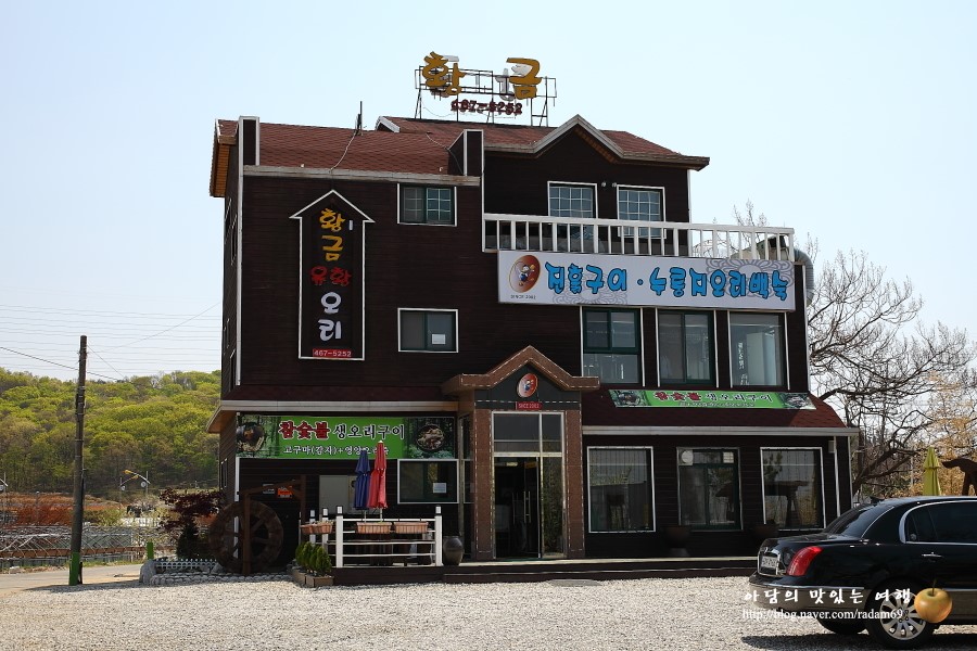 황금유황생오리 이미지
