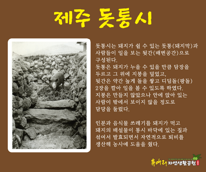 제주통시 이미지