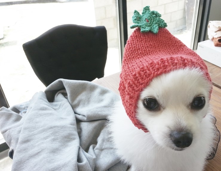 힐링캔들 이미지