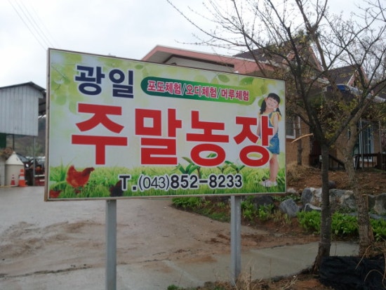 광일농장 이미지