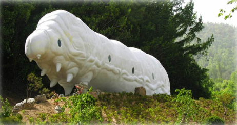 영천양잠협동조합 이미지