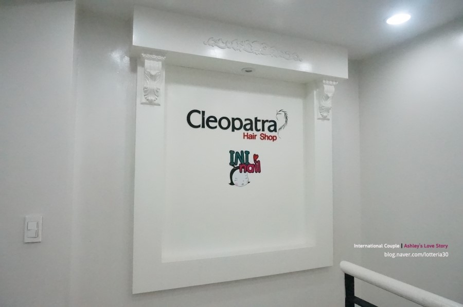 레오파트，클레오파트라 이미지