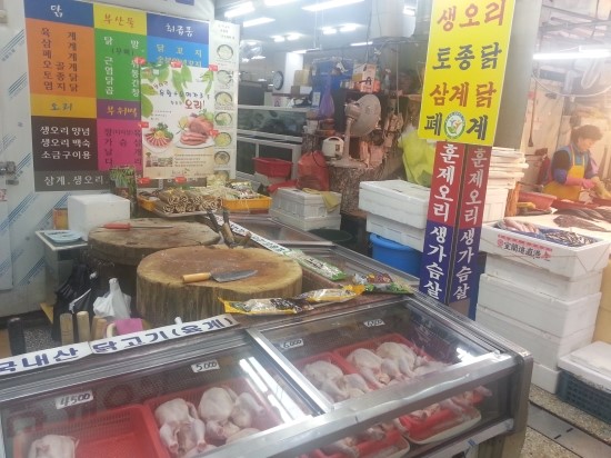 상설계육 이미지