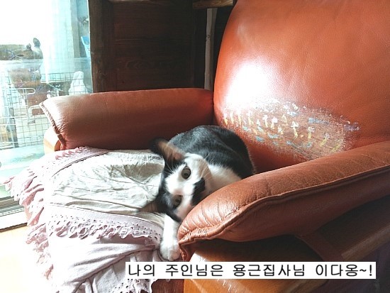 (주)행운식품 이미지