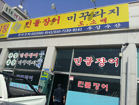 우성장어 이미지