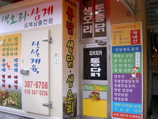 상설계육 이미지