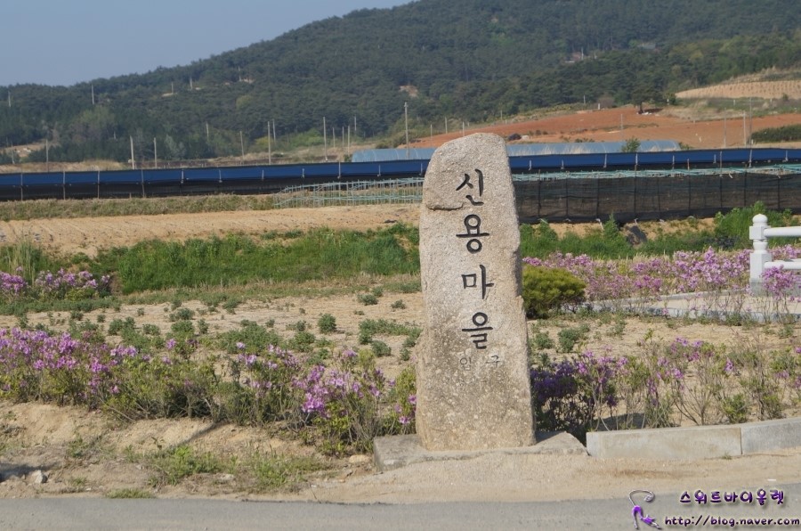 신용반점 이미지