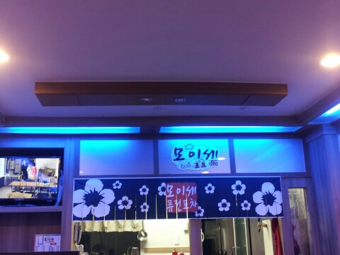 모이세포차 이미지