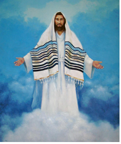 베게드 이미지