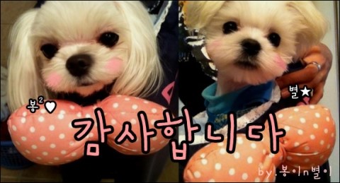 인텍트 이미지