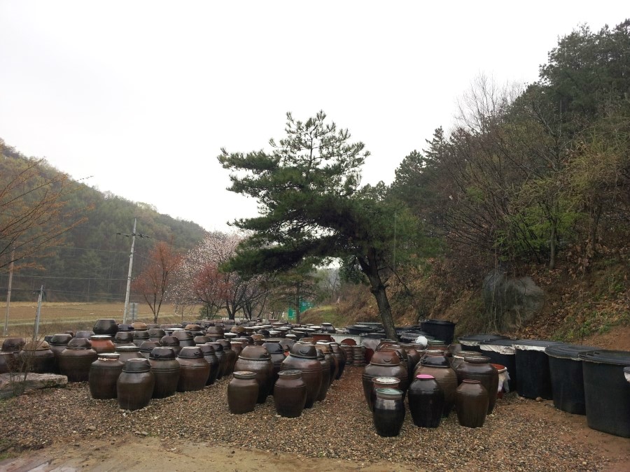 경상도김실네 이미지