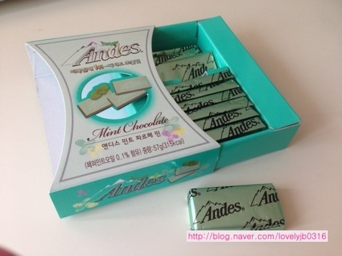 안데스(Andes) 이미지