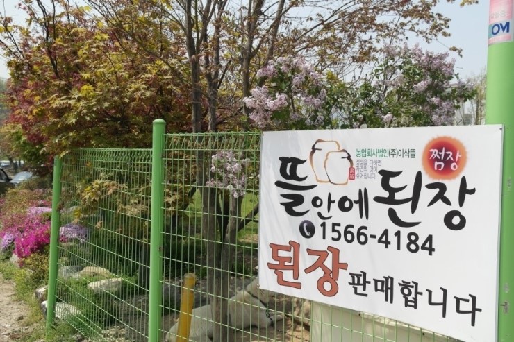 허니비프로젝트 이미지