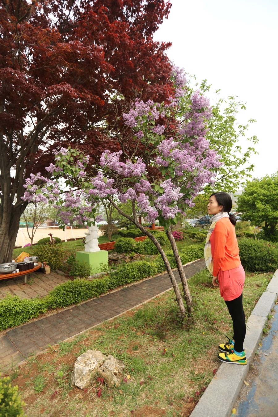 옹정초등학교 이미지