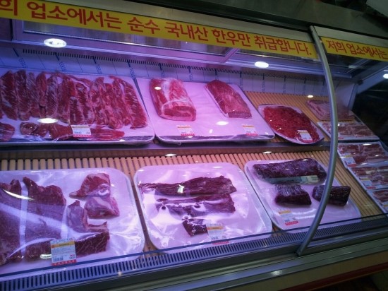 누렁송아지 이미지