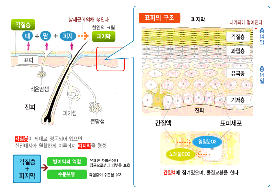 화경슈퍼 이미지