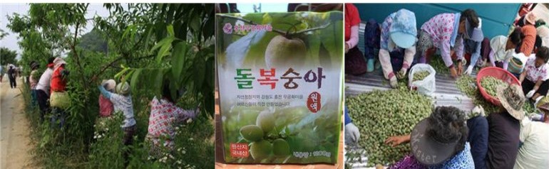 농업회사법인 산채만 주식회사 이미지