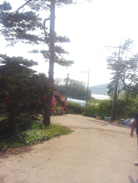 태림산장 이미지