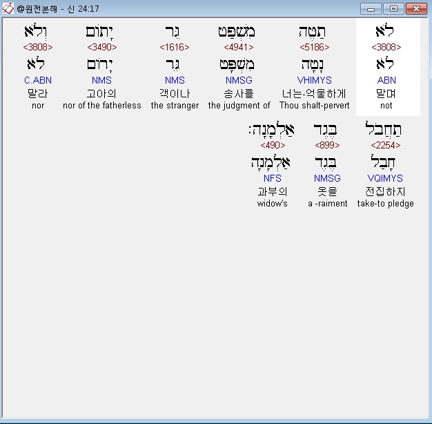 베게드 이미지