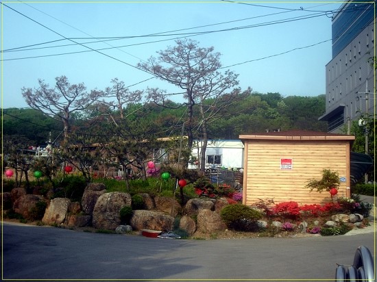 태연사 이미지