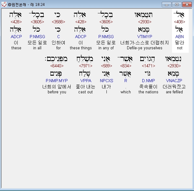 우상니트 이미지