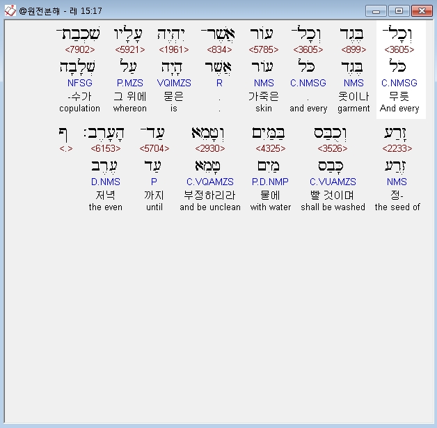 베게드 이미지