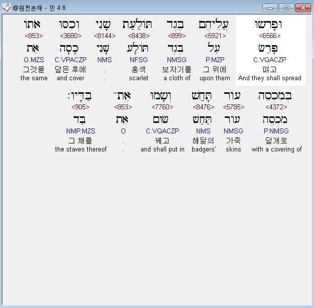 베게드 이미지