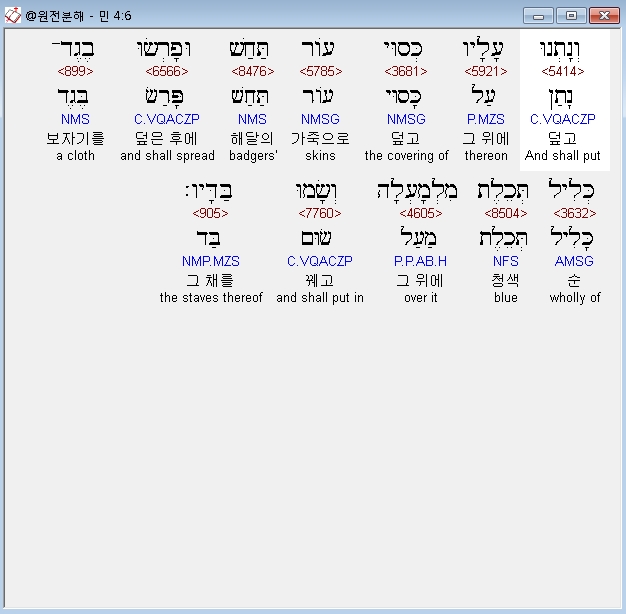 베게드 이미지