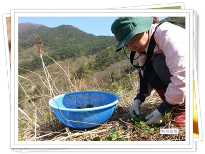 지리산담은농원 이미지