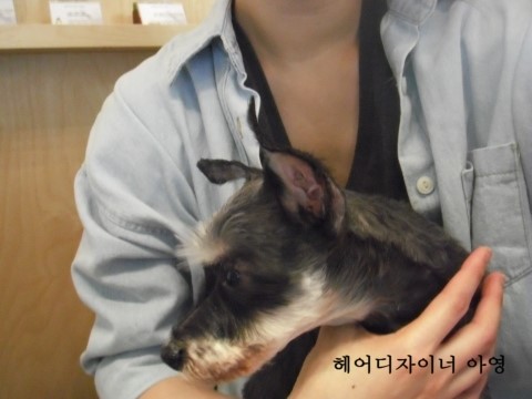 또또미용실 이미지