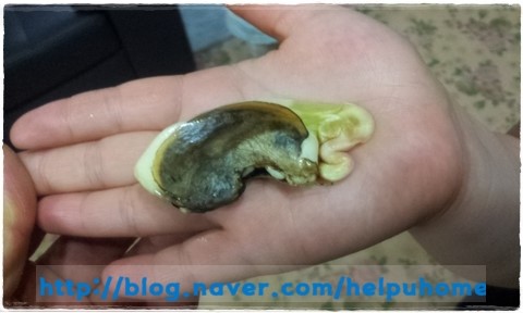 화랑세탁 이미지