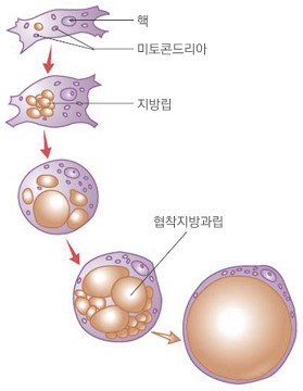성모마음한의원 이미지