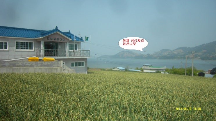 분재전통다원 이미지